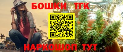 индика Каменск-Уральский