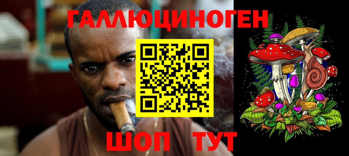 Галлюциногенные грибы Cubensis Протвино