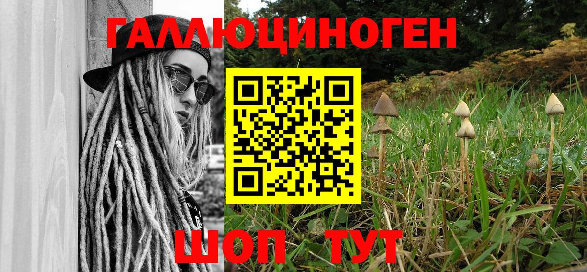 купить   Псилоцибиновые грибы Psilocybine cubensis  Вход с VPN  Протвино 